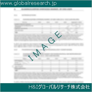 グローバルリサーチ調査資料のイメージ